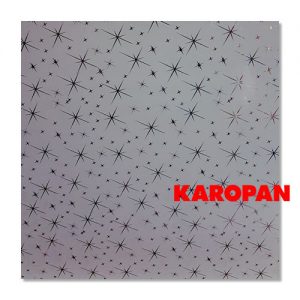 Parlak Gri Yıldız PVC Panel